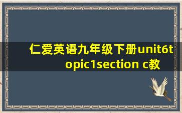 仁爱英语九年级下册unit6topic1section c教案